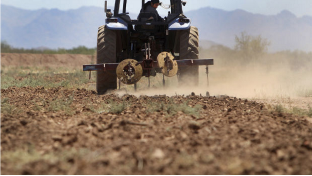 A Solution: Sowing the future for tribal youth A Solution: Sowing the future for tribal youth