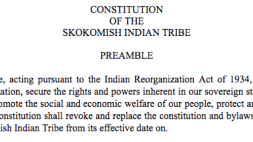 Skokomish Indian Tribe: Initiative and Referendum Excerpt Skokomish Indian Tribe: Initiative and Referendum Excerpt