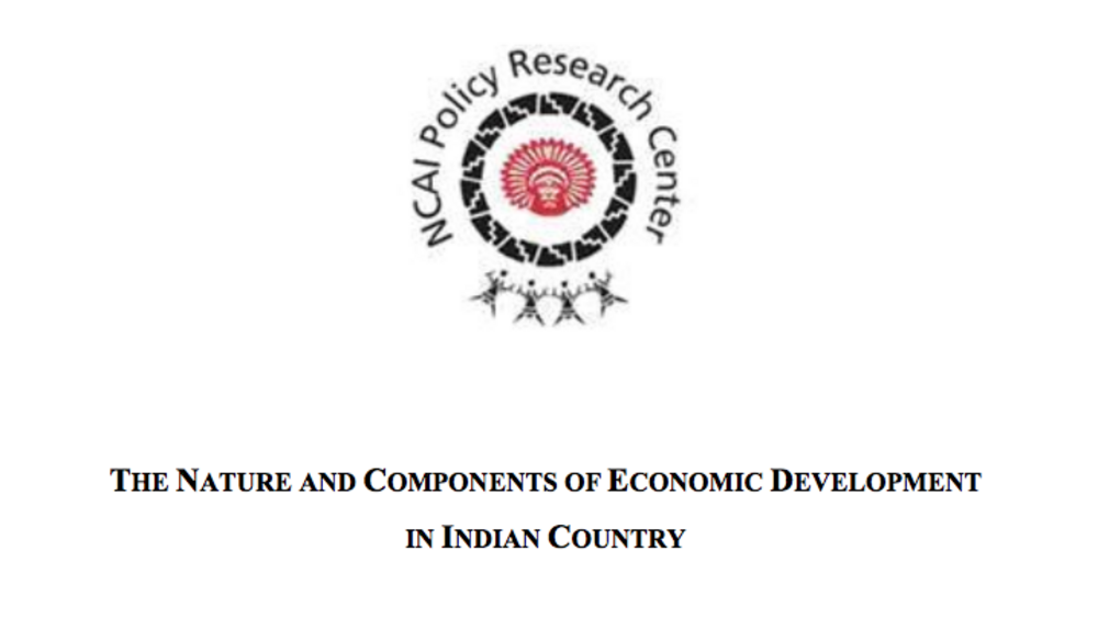 The Nature and Components of Economic Development in Indian Country The Nature and Components of Economic Development in Indian Country