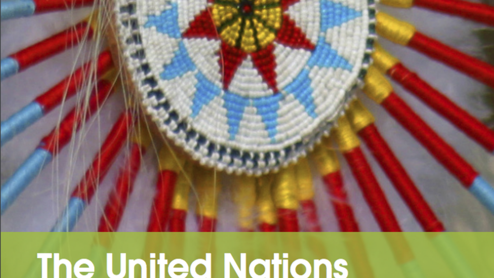 The United Nations Declaration on the Rights of Indigenous Peoples: With an Introduction for Indigenous Leaders in the United States The United Nations Declaration on the Rights of Indigenous Peoples: With an Introduction for Indigenous Leaders in the United States