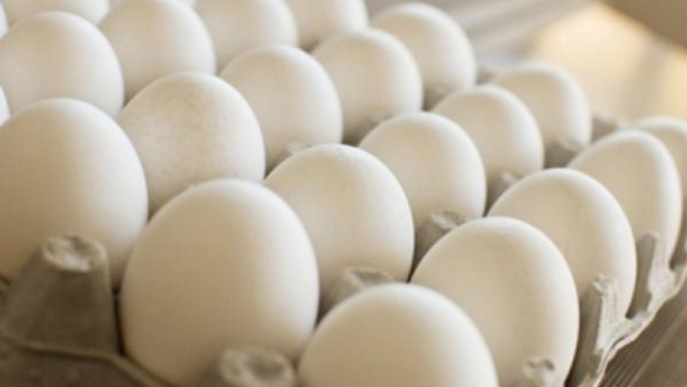 Hatching Success: Ak-Chin Indian Community’s Industrial Park Home to Only Egg Producer in Arizona Hatching Success: Ak-Chin Indian Community’s Industrial Park Home to Only Egg Producer in Arizona