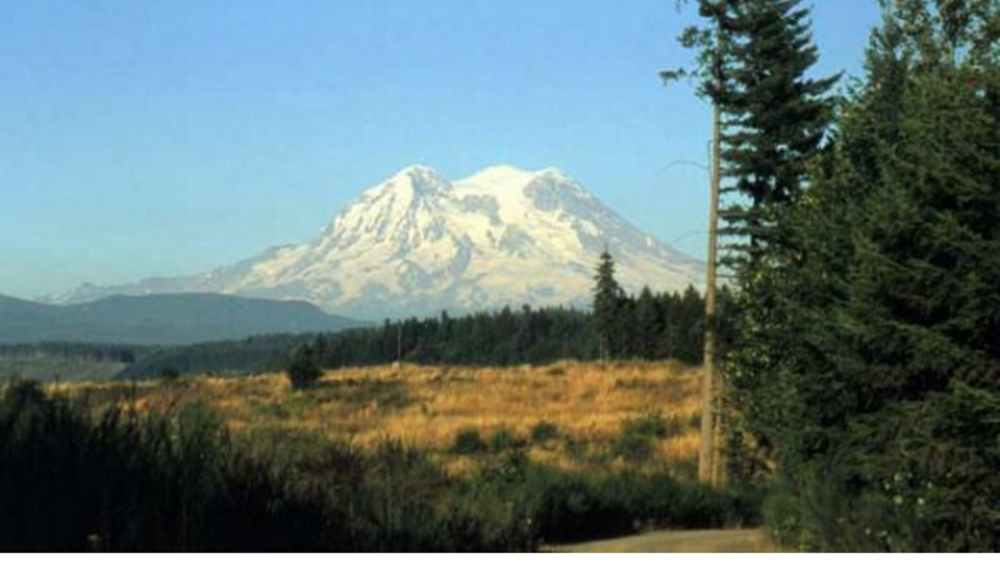 Nisqually Tribe, State Partnering on Development of Nisqually State Park Nisqually Tribe, State Partnering on Development of Nisqually State Park