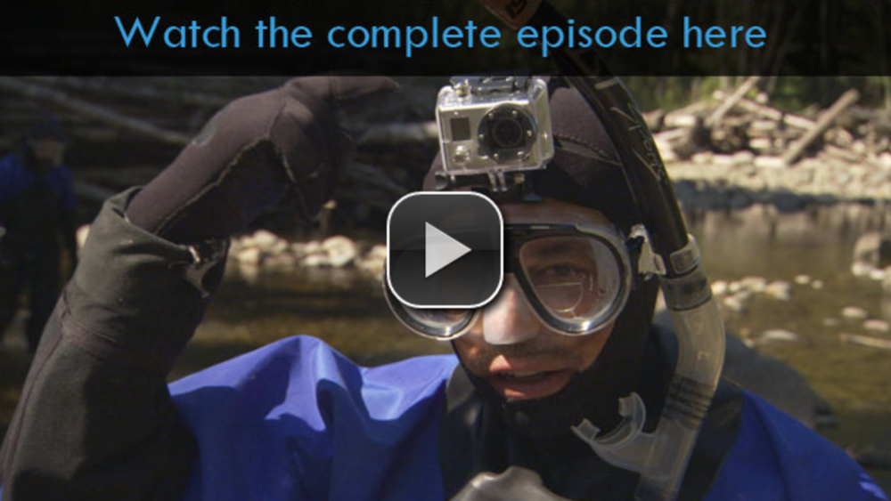 Saving the Ocean: River of Kings, Part 2 Saving the Ocean: River of Kings, Part 2