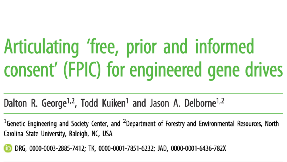 Articulating‘free, prior and informed consent’ (FPIC) for engineered gene drives Articulating‘free, prior and informed consent’ (FPIC) for engineered gene drives