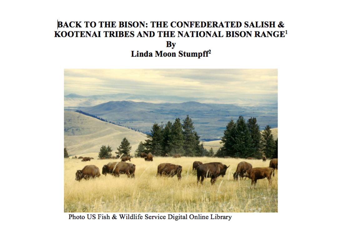 Back to the Bison: Part I