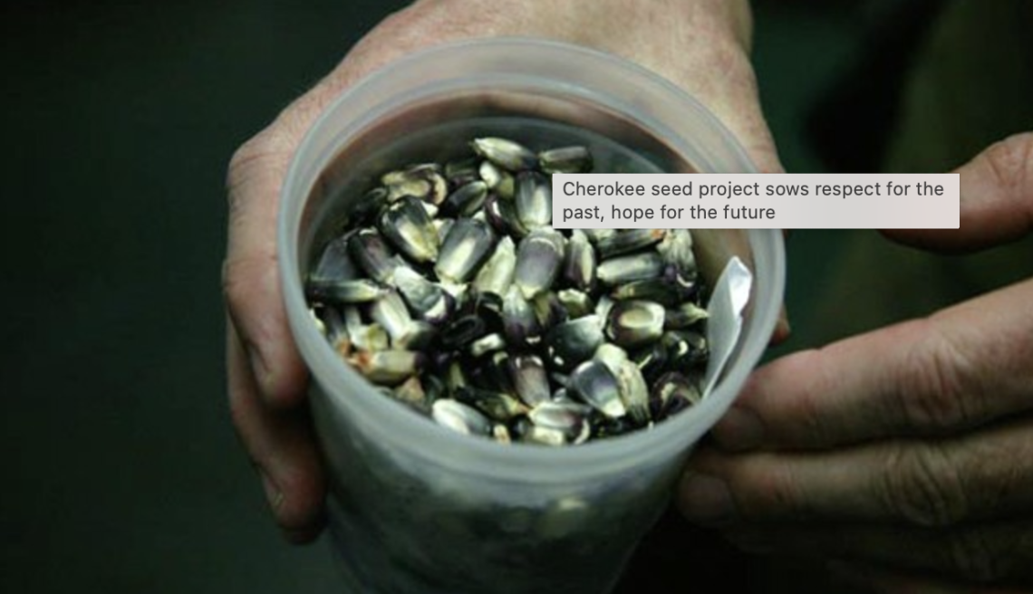 Cherokee seed project sows respect for the past, hope for the future