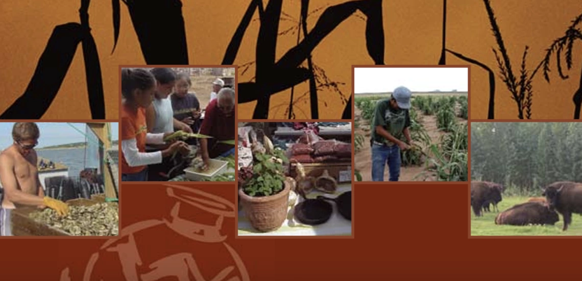 Food Sovereignty Assessment Tool