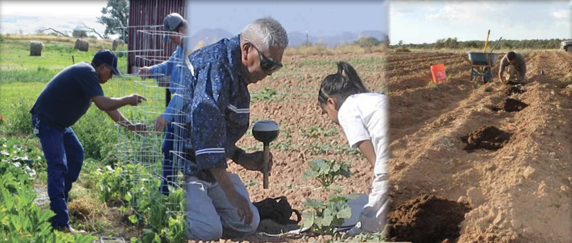 Good Food is Power: A collection of traditional foods stories from the Ramah Navajo Community, Standing Rock Sioux Tribe and Tohono O'odham Nation