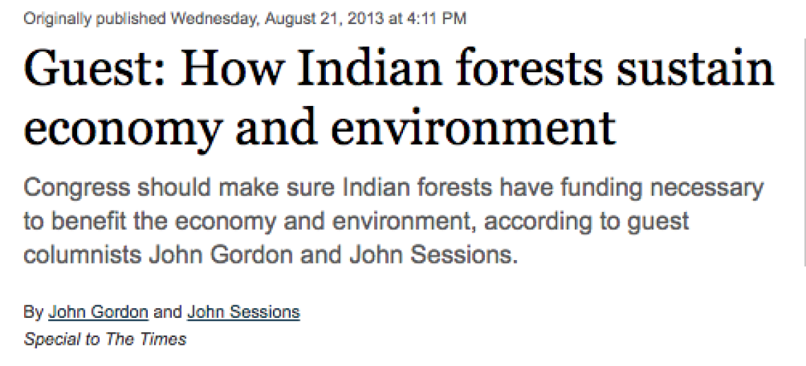 Opinion: How Indian forests sustain economy and environment