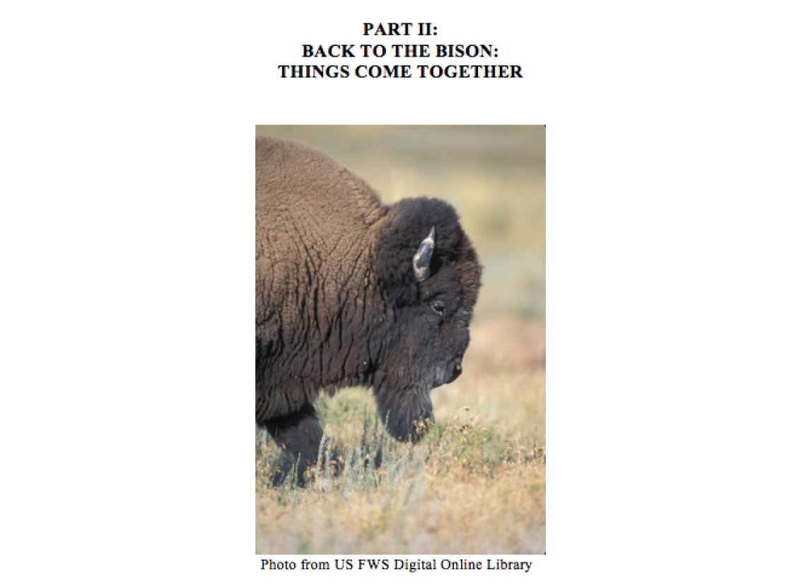 Back to the Bison Case Study Part II