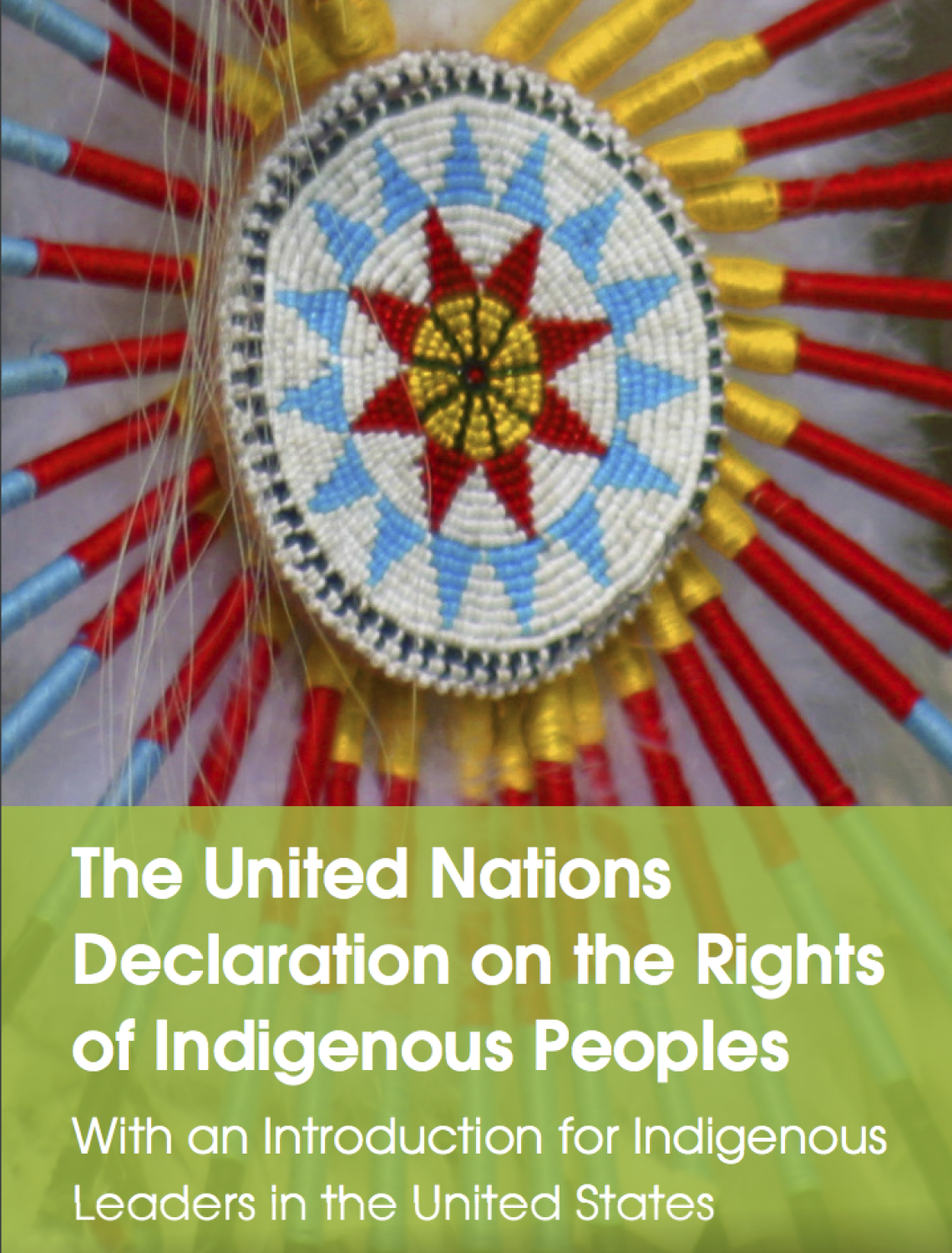 The United Nations Declaration on the Rights of Indigenous Peoples: With an Introduction for Indigenous Leaders in the United States