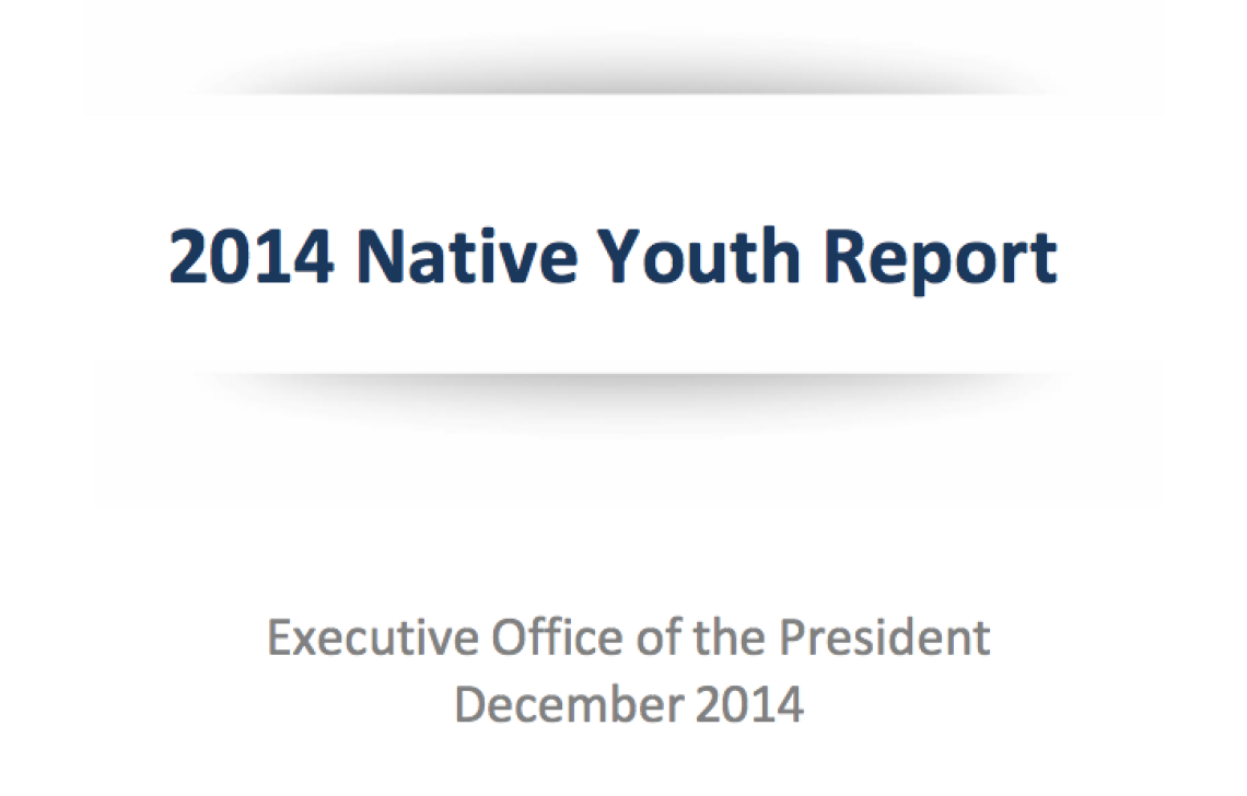 2014 Native Youth Report