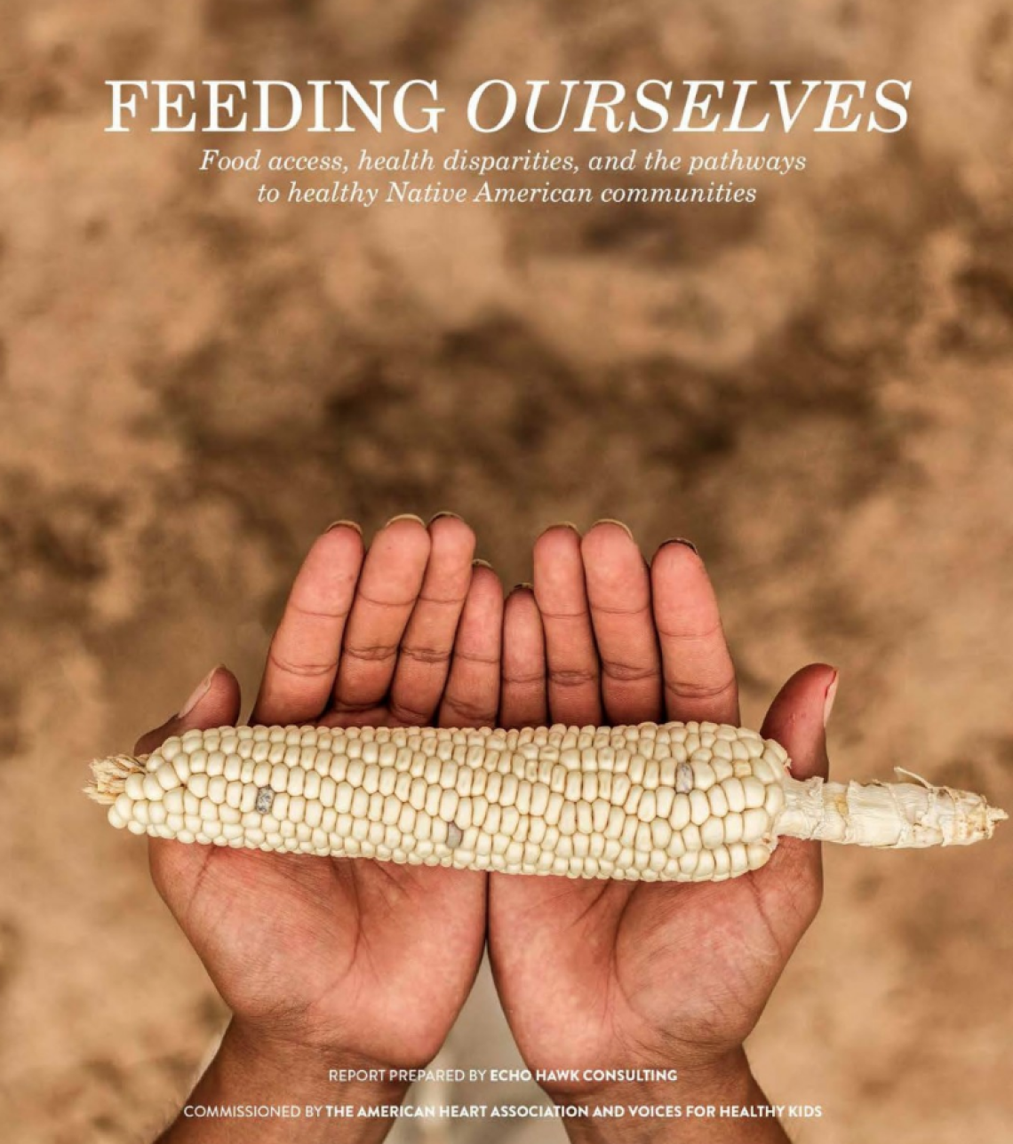 Feeding Ourselves: Food Access, Health Disparities, and the Pathways to Healthy Native American Communities