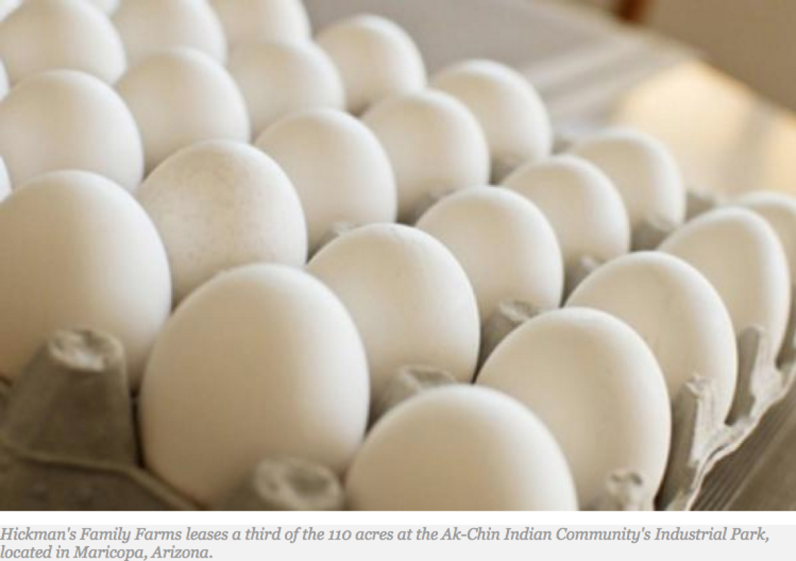 Hatching Success: Ak-Chin Indian Communityâ€™s Industrial Park Home to Only Egg Producer in Arizona