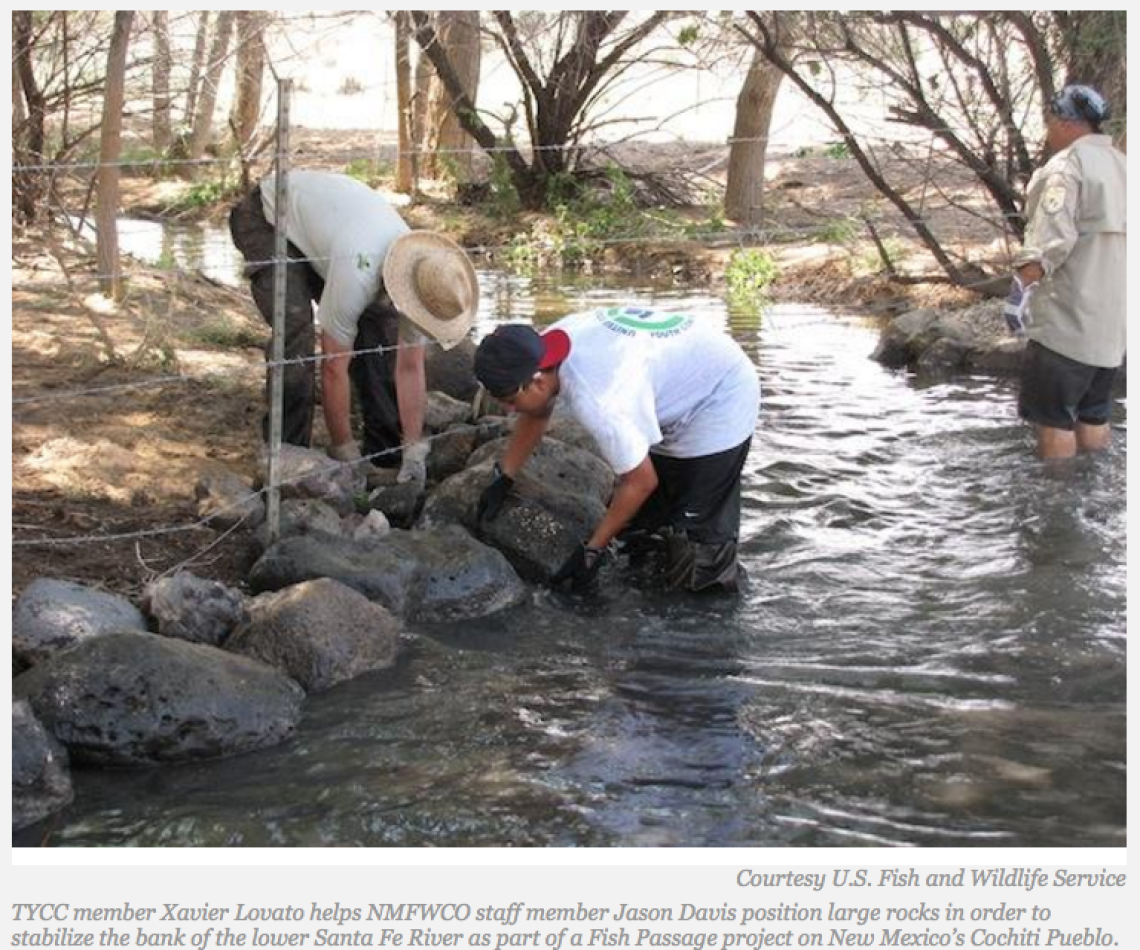 Indigenous Youth Help USFWS Restore Fish Passage on Cochiti Pueblo