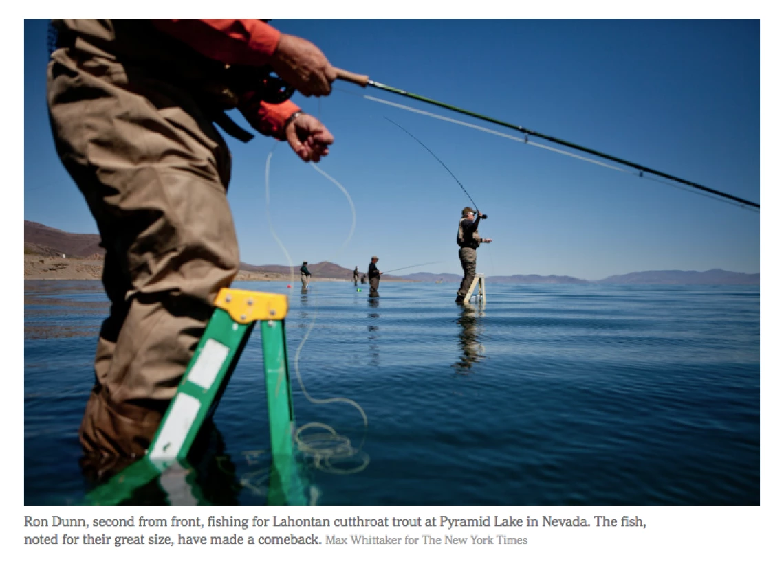 20 Pounds? Not Too Bad, for an Extinct Fish