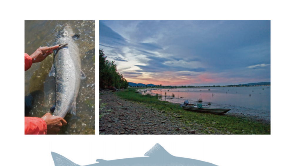 Making First Nation Law: The Listuguj Mi'gmaq Fishery