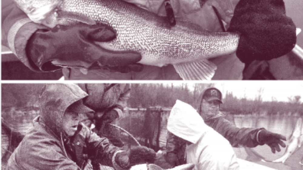 We Are the Stewards: Indigenous-Led Fisheries Innovation in North America