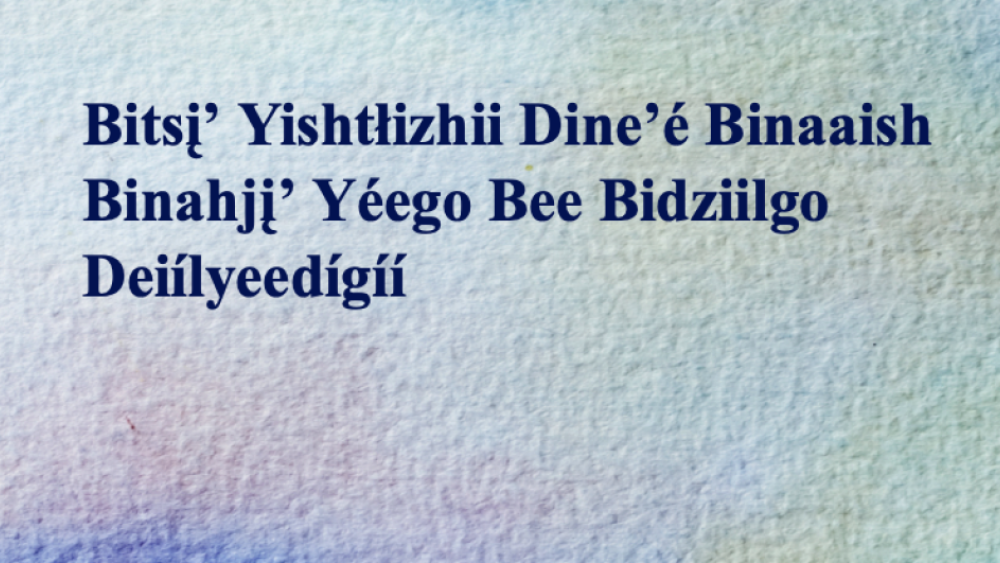 Bitsi' Yishtlizhii Dine'é Binaaish Binahji' Yéego Bee Bidziilgo Deiilyeedigii