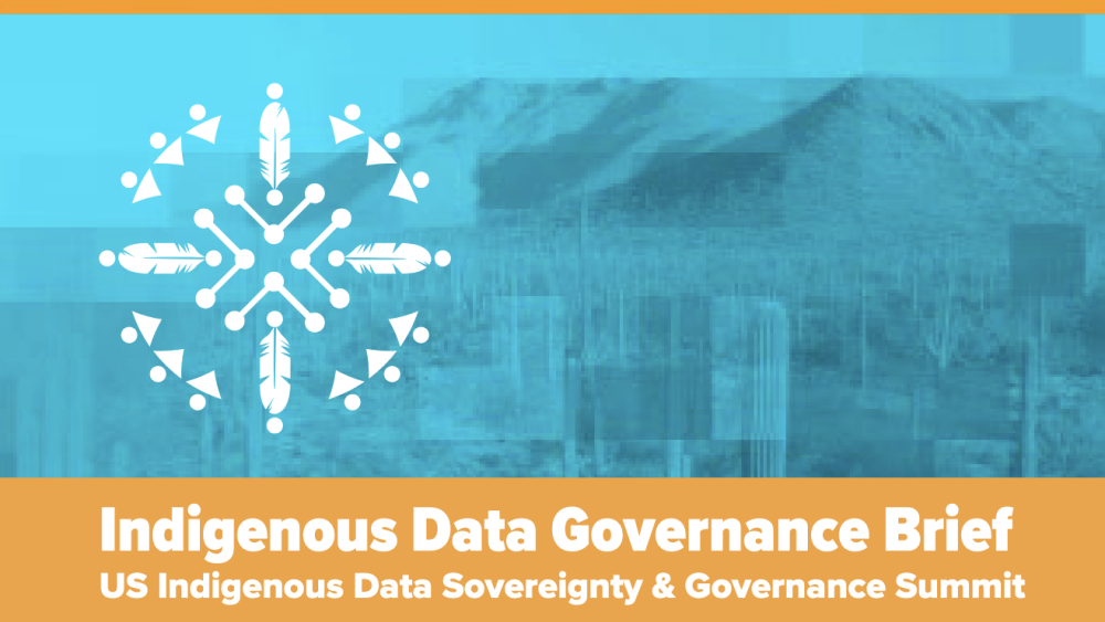 Indigenous Data Governance Brief