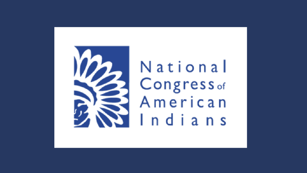 NCAI National Native Organizations 2018
