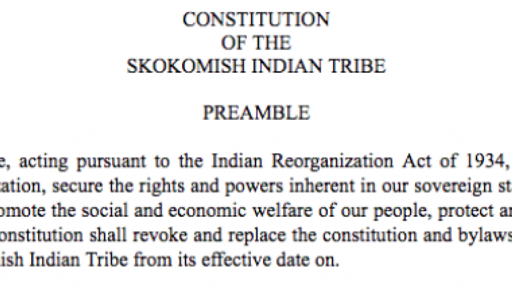 Skokomish Indian Tribe: Initiative and Referendum Excerpt
