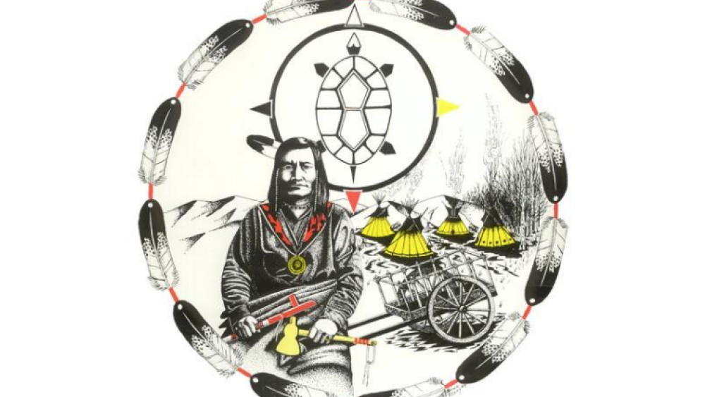 TurtleÂ MountainÂ BandÂ ofÂ ChippewaÂ Indian: Elections Excerpt