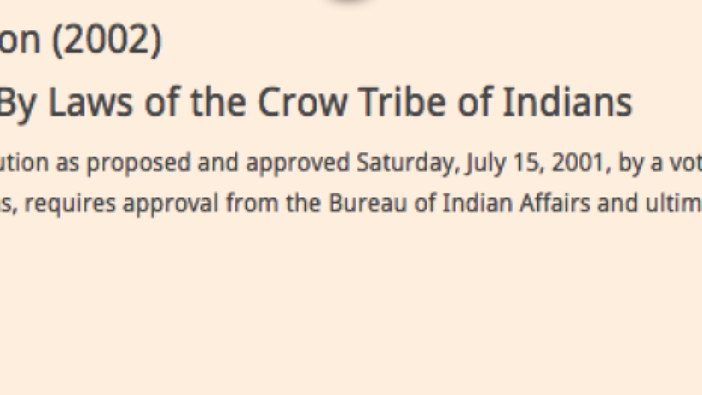 Crow Nation: Amendments Excerpt