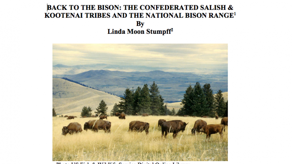 Back to the Bison Case Study Part I