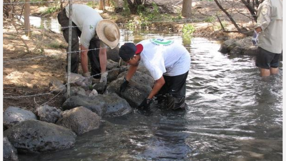 Indigenous Youth Help USFWS Restore Fish Passage on Cochiti Pueblo