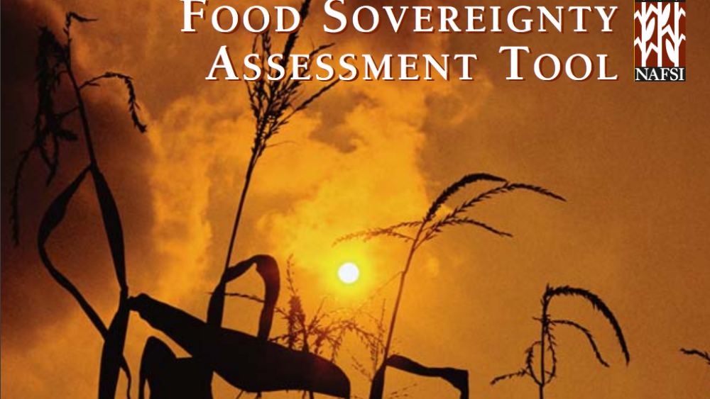 Food Sovereignty Assessment Tool Food Sovereignty Assessment Tool