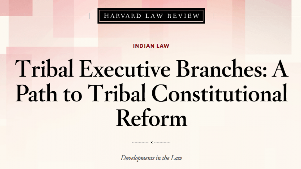 Tribal Executive Branches: A Path to Tribal Constitutional Reform